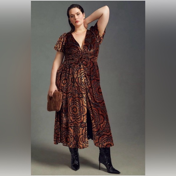 NWT The Katerina Button-front Dress: Velvet Edition - Picture 14 of 16